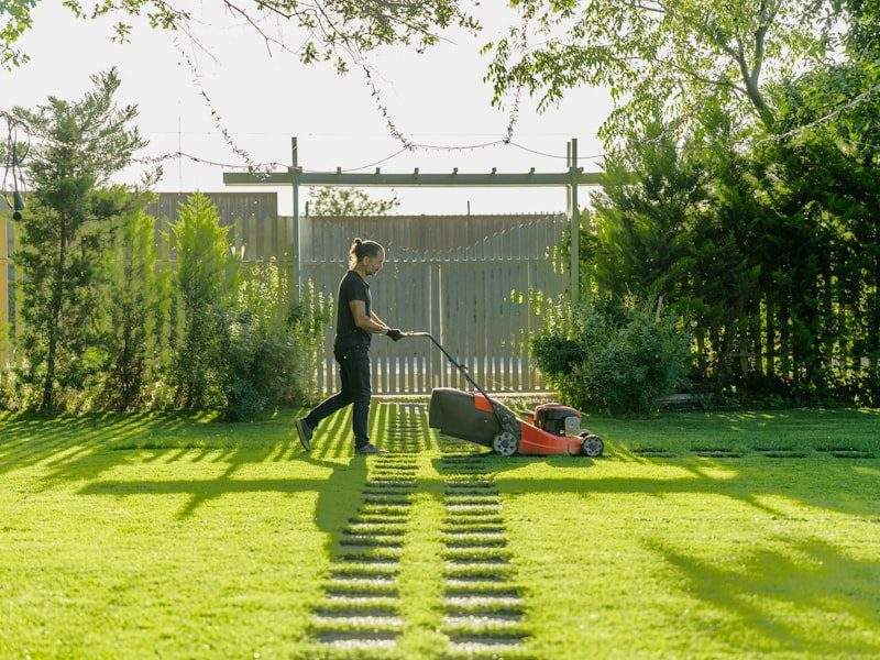 Clean yard after removal in the Hamptons, NY